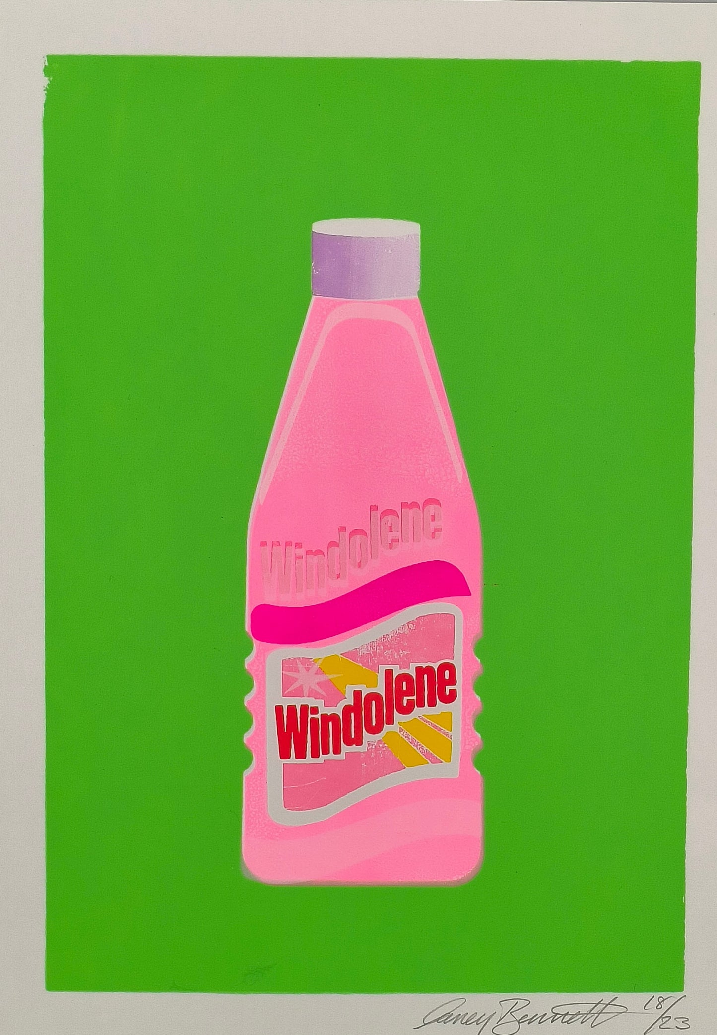 WINDOLENE SCREEN PRINT 18/23