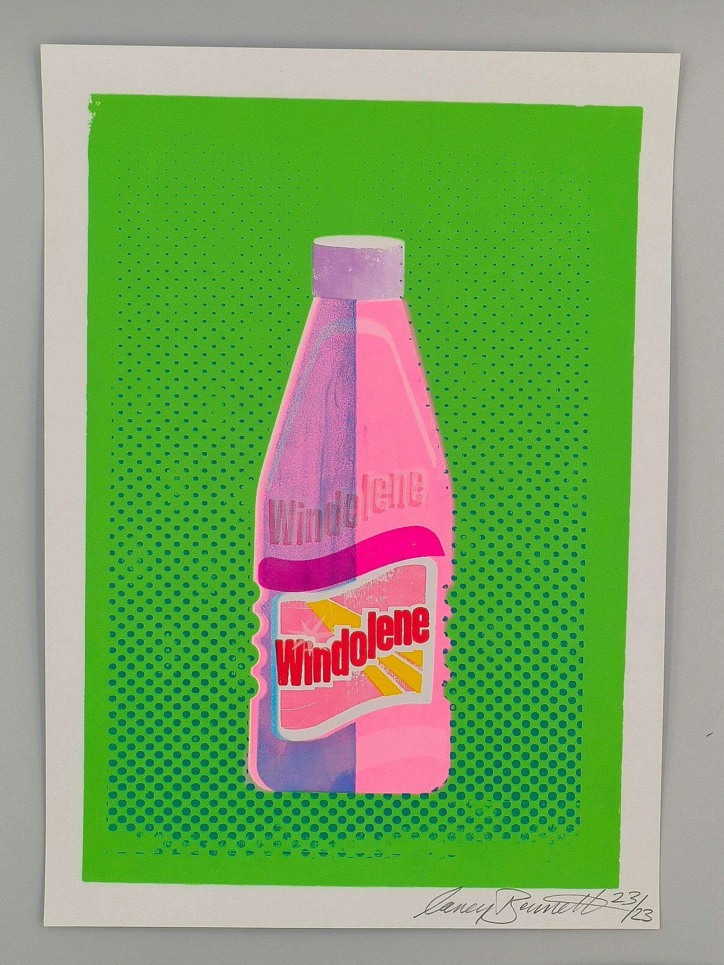 WINDOLENE SCREEN PRINT 23/23
