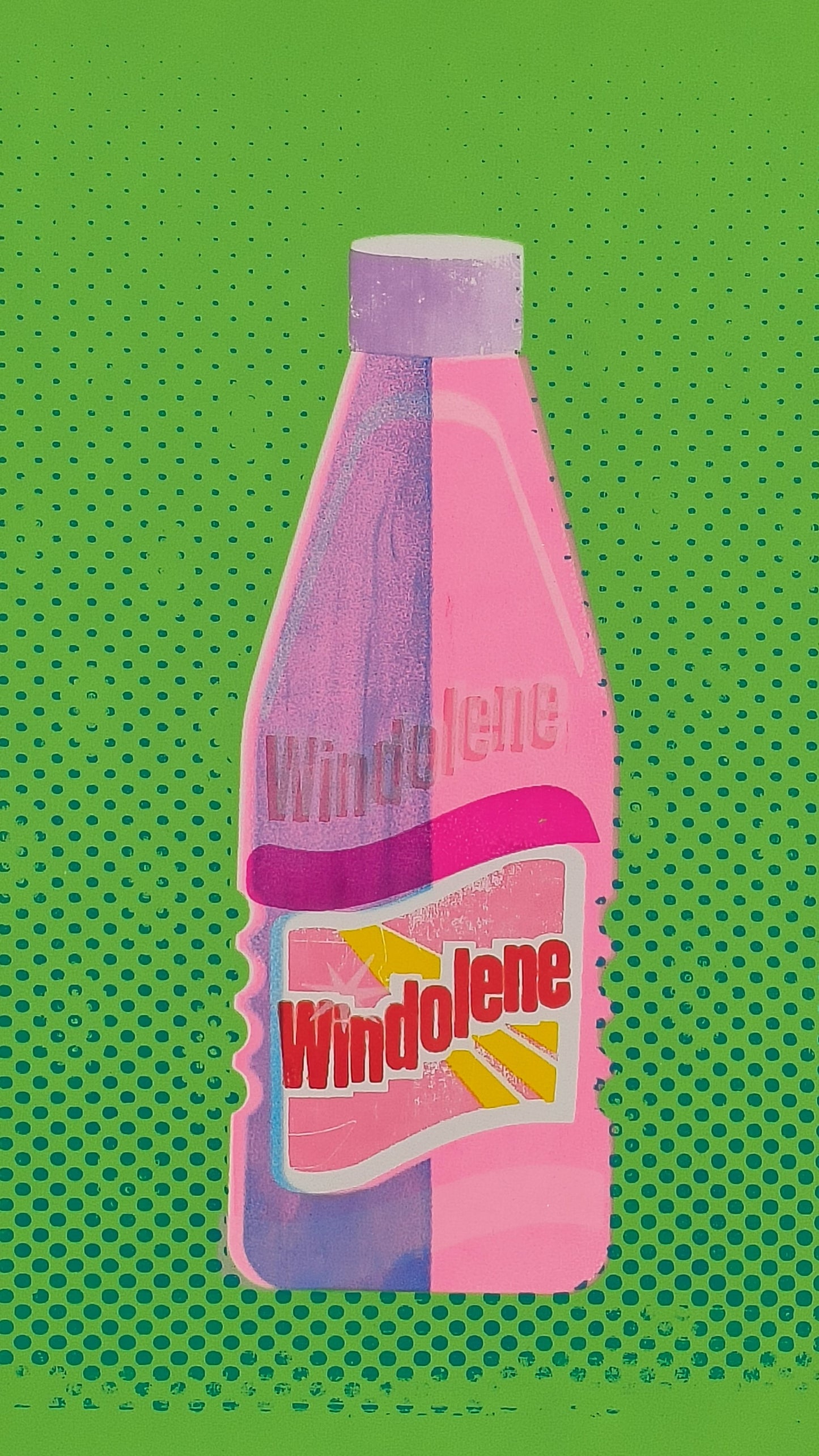 WINDOLENE SCREEN PRINT 23/23